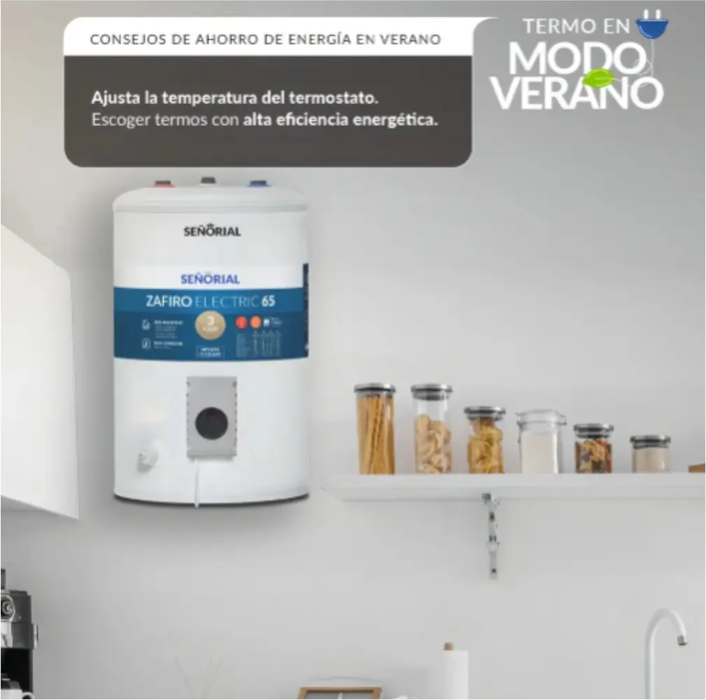 TERMOTANQUE SENORIAL 65LTS.CONEXION SUPERIOR-2.webp