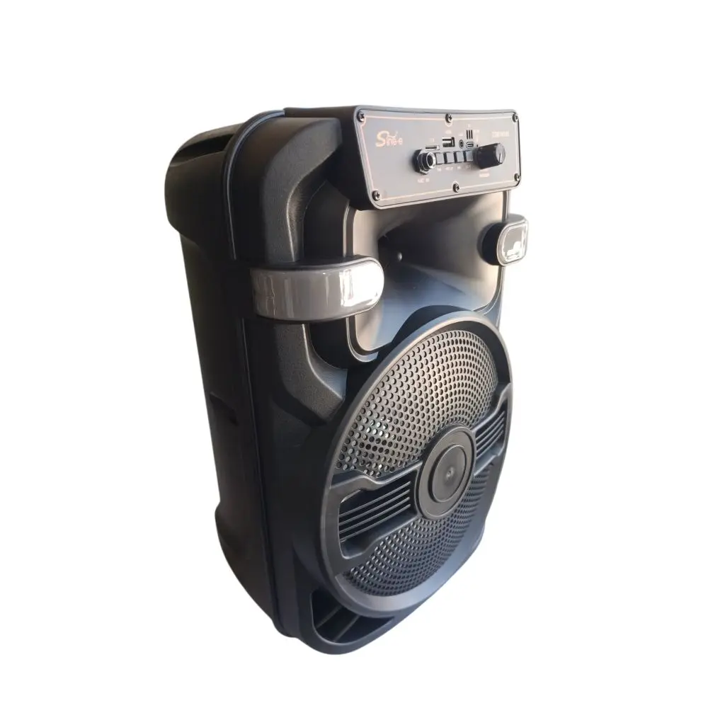 PARLANTE SING-E 10PULG ZQ10102 PMPO 20000W C-MICROFONO-3.webp