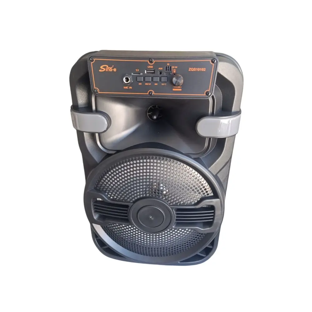 PARLANTE SING-E 10PULG ZQ10102 PMPO 20000W C-MICROFONO-1.webp