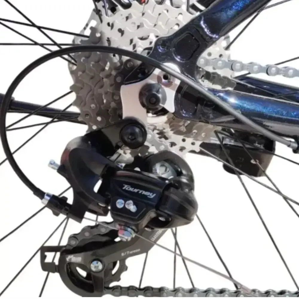 BICI ZION FRISK R29 ALUMINIO MTB-5.webp