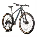 AnyConv.com__BICI ZION DIABLO II R29 CARBONO MTB-2.webp