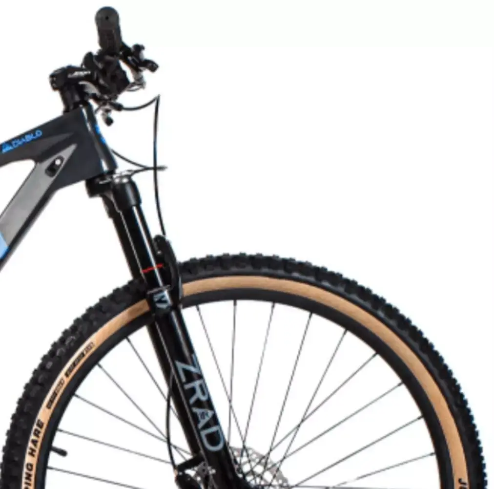 AnyConv.com__BICI ZION DIABLO II R29 CARBONO MTB-3.webp