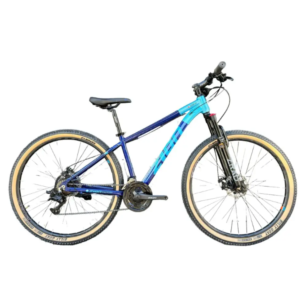 BICI ZION BREVA R29 -2.webp