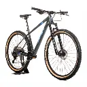BICI ZION DIABLO II R29 CARBONO MTB-2.webp