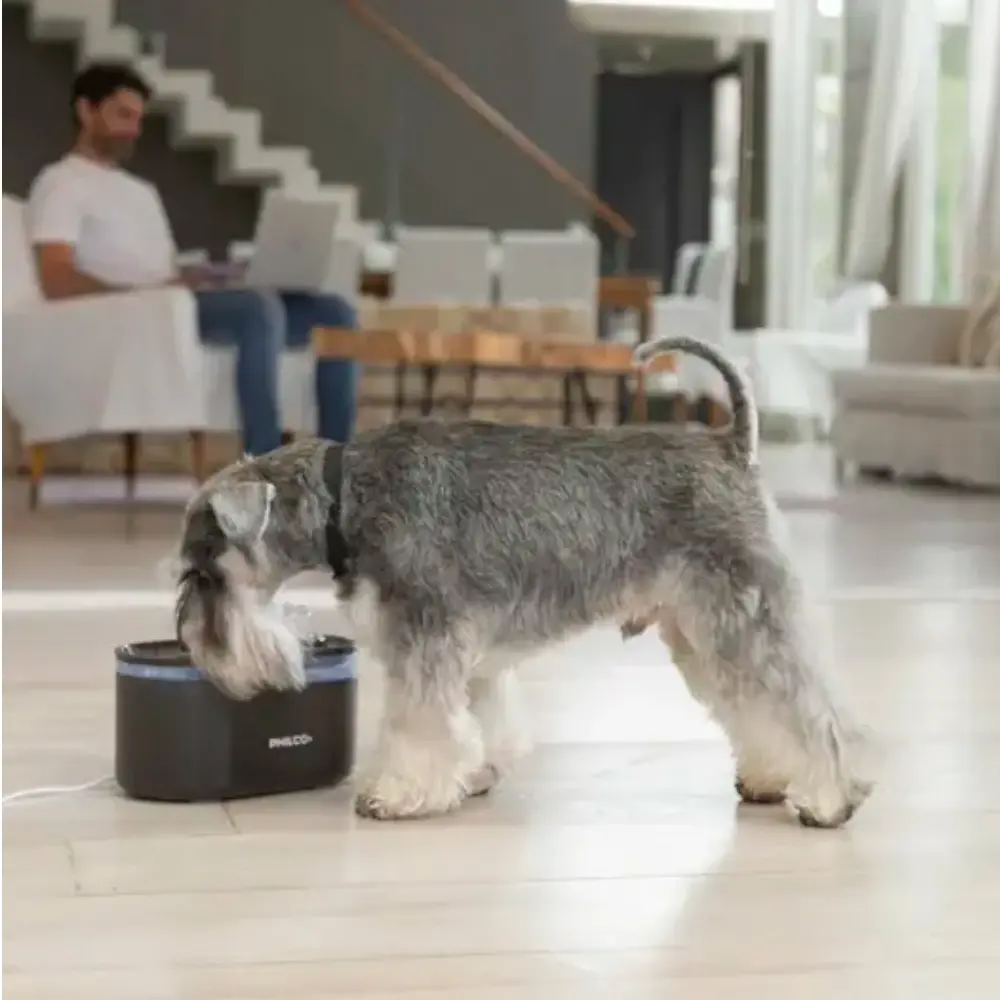 Bebedero Automático para Mascotas 2.8L Philco-6.webp