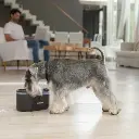 Bebedero Automático para Mascotas 2.8L Philco-6.webp