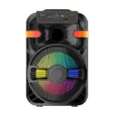 PARLANTE SING-E 10" ZQ10102 PMPO 20000W C/MICROFONO