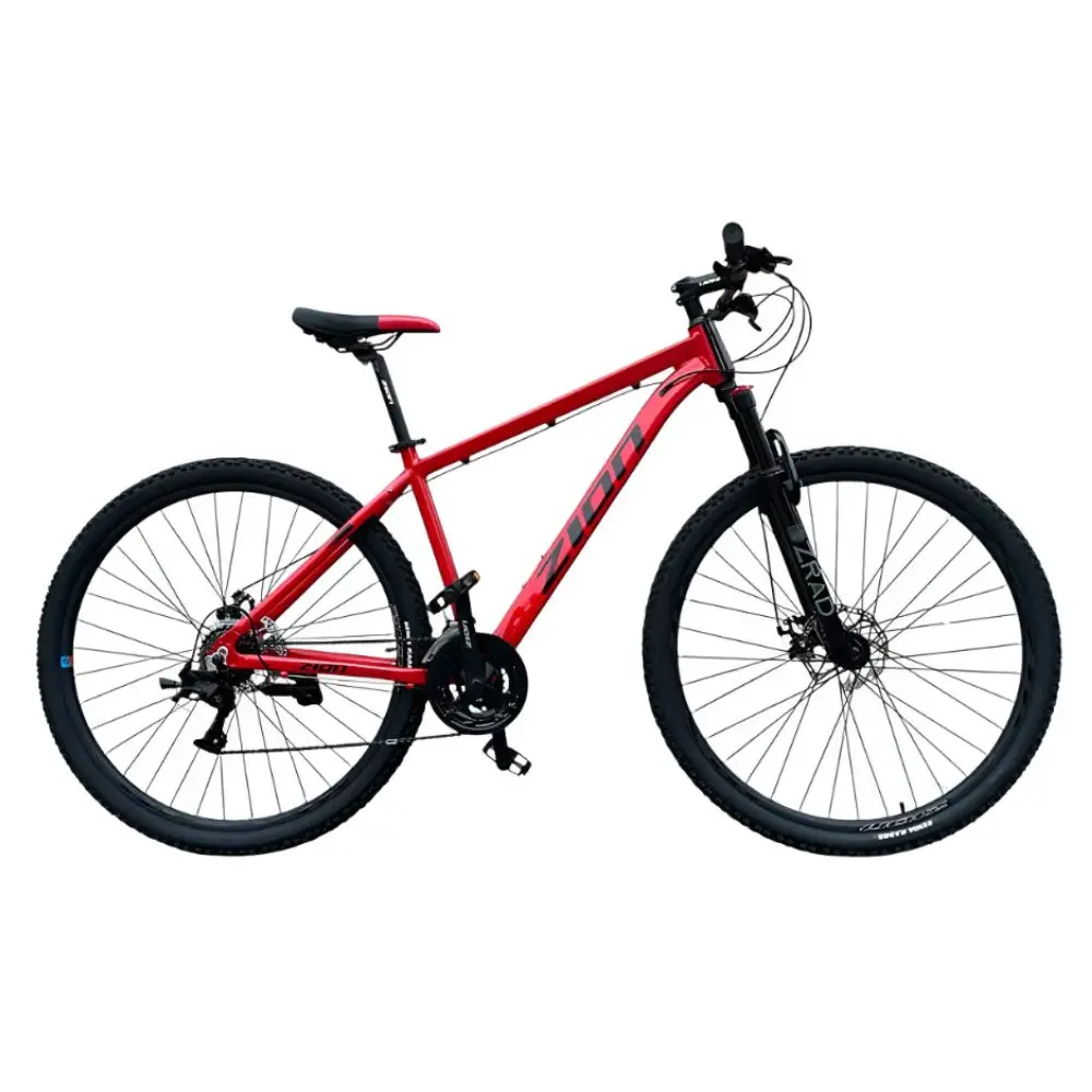 BICI ZION BREVA R29 MTB 2.0 TALLE L